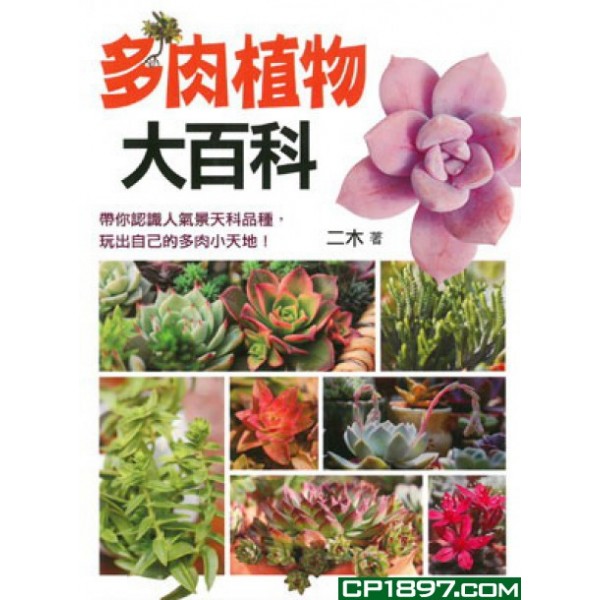 多肉植物大百科 多肉植物大百科