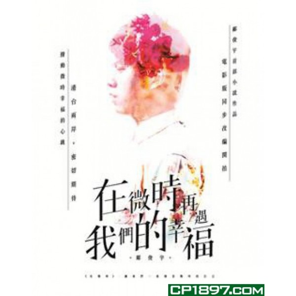 在微時,再遇我們的幸福 在微時,再遇我們的幸福